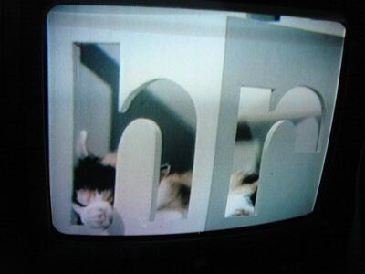 2008_07_28_PCH1_006.JPG
Katzenkult beim hr-fernsehen :-) (NDR-Niedersachsen-Bouquet)
Schlüsselwörter: TV Tropo Überreichweite DVB-T NDR Niedersachsen HR Katzen