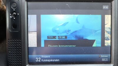 2021_07_05_PCH1_002.JPG
Auch diesen Morgen war Schweden erneut präsent.
Kunskapskanalen, Teracom Nät 1 Skåne, SFN Skåne Län (außer Raum Helsingborg), K41
Schlüsselwörter: TV DX Tropo Überreichweite digital DVB-T Schweden Sverige Kunskapskanalen Teracom Nät1 Skåne SVT Sveriges Television MPEG2 FTA K41